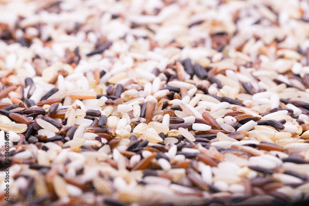 Obraz premium Organic rice, Mixed rice in spoon and Rice texture for background