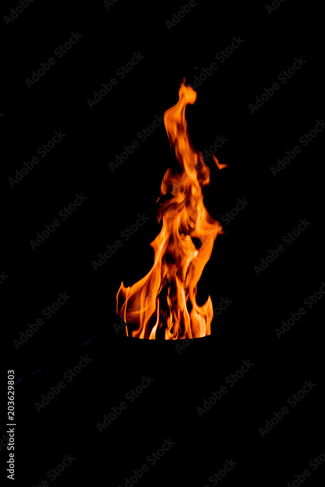Natural fire, yellow-red flames on a black background 