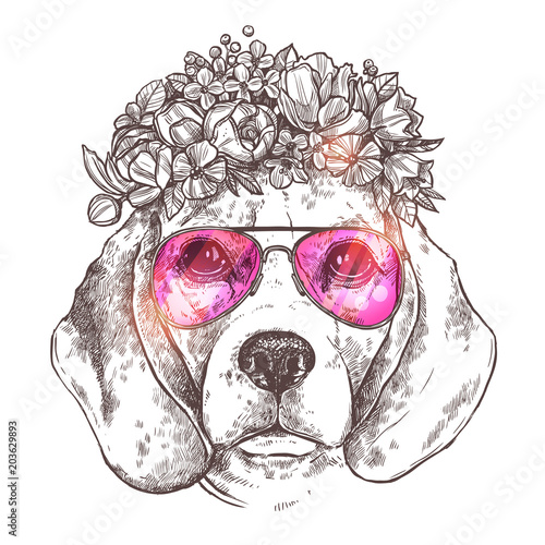 Portrait Of Beagle Dog With Flower Floral Wreath And Sunglasses. Sketch Hand Drawn Vintage Style. Hipster Animal
