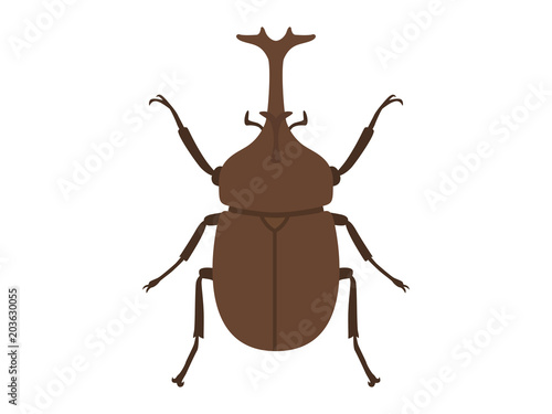 カブトムシ