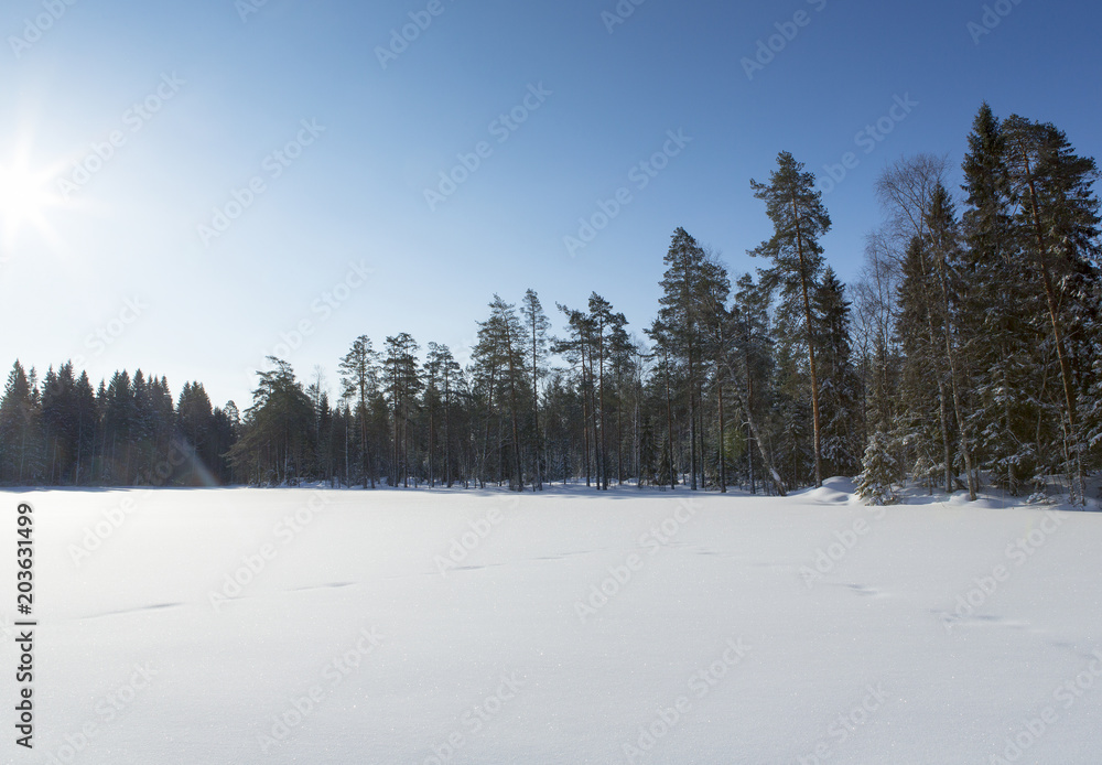 Snow landscape in Finland. Sunshine and blue sky. Snow landscape in Finland. Sunshine and blue sky.