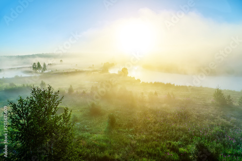 Fantastic foggy river with fresh green grass in the sunlight. Sun beams through tree. Dramatic colorful scenery.