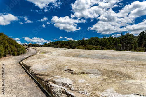 Walking path in Wai-o-Tapu thermal park in Rotorua, New Zealand photo