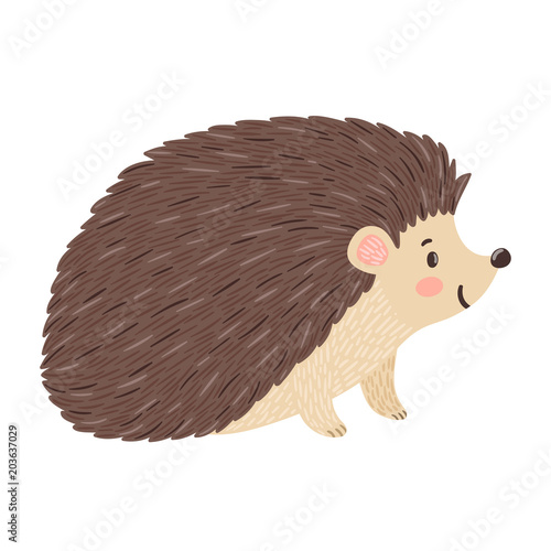 Vector illustration of smiling hedgehog. Isolated on white. Cute cartoon character. photo