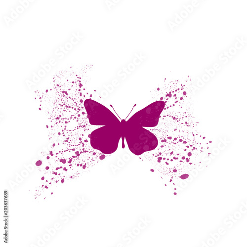 Vector illustration of butterfly on white background.