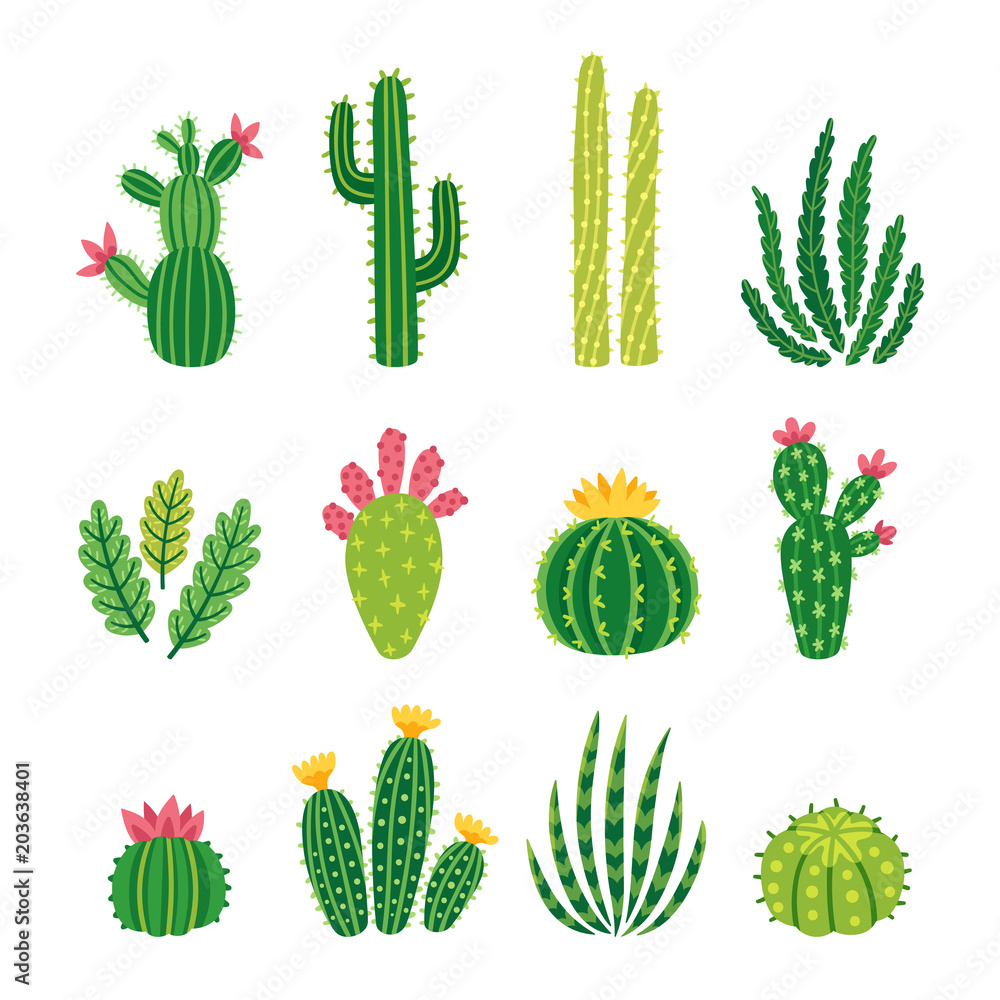 Vector set of bright cacti, aloe and leaves. Collection of exotic plants. Decorative natural elements are isolated on white. Cactus with flowers. - obrazy, fototapety, plakaty 