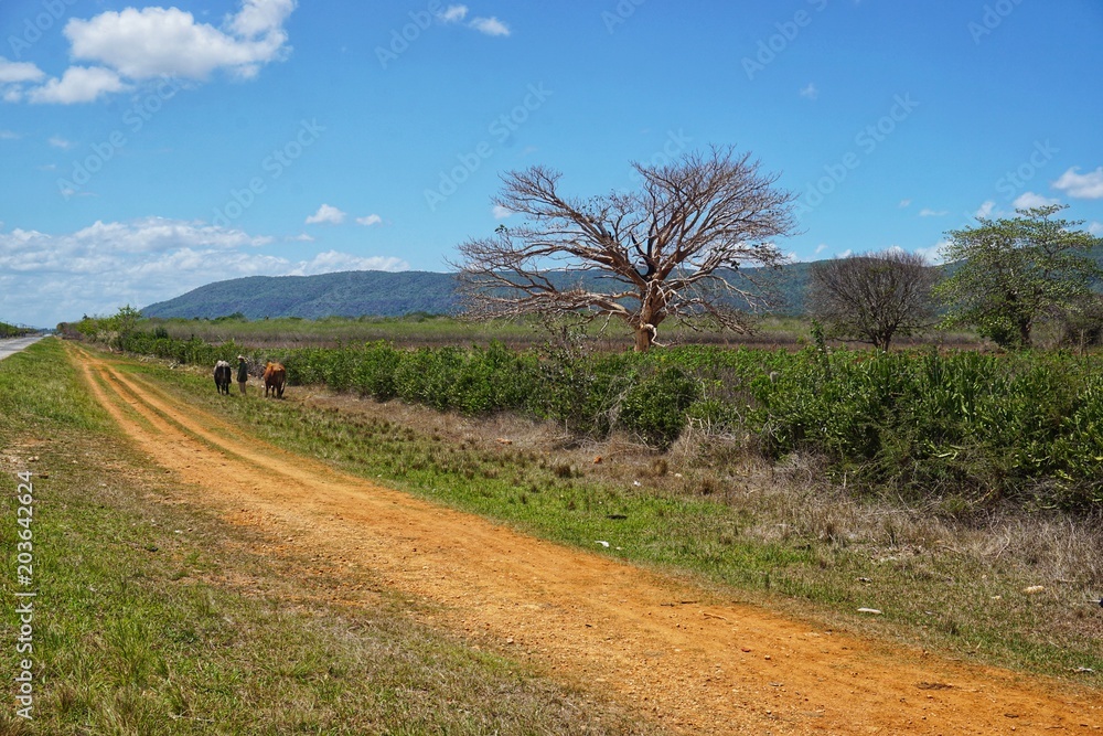Landschaft uns Landwirtschaft auf Kuba, Karibik Landschaft uns Landwirtschaft auf Kuba, Karibik