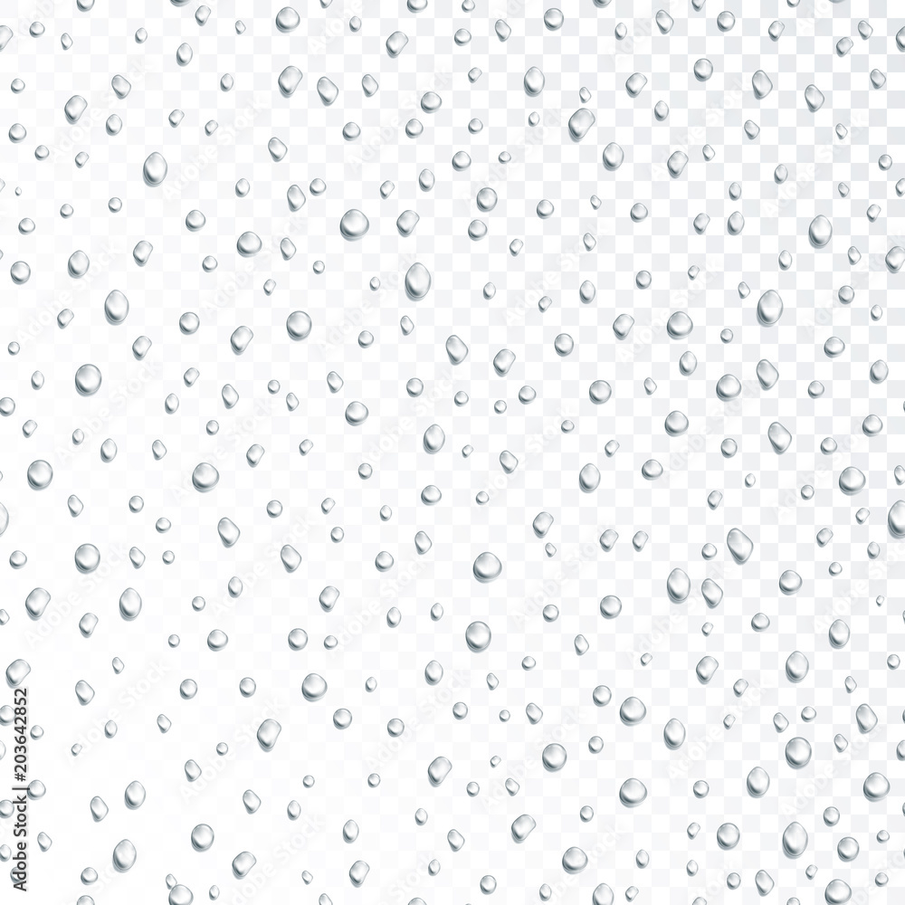Condensate from water droplets on clear clear glass. Seamless drops pattern on transparent background. Vector illustration