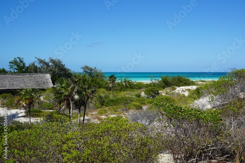 Cayo Coco auf Kuba, Karibik