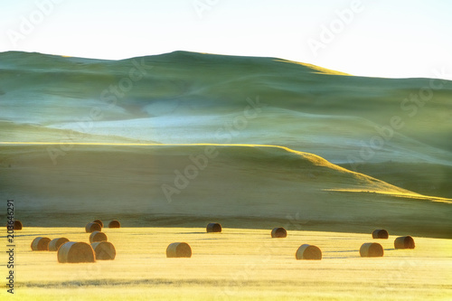 HAYBALES and autumn colours in the Underberg countryside, Kwazulu Natal, South Africa. 