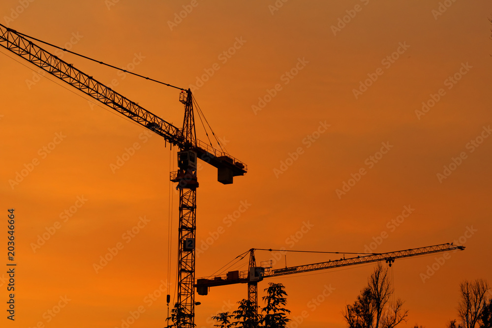 Crane in the sunset