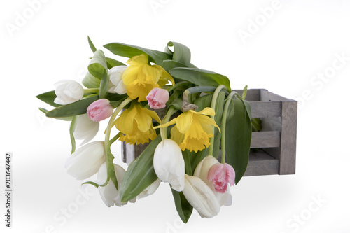 Fototapeta Naklejka Na Ścianę i Meble -  bouquet of flowers of yellow daffodils and white and pink tulips in the wooden box on white background.