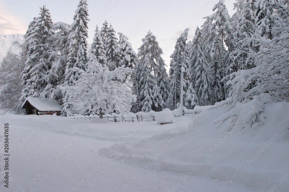 Fototapeta premium Winter in Tirol