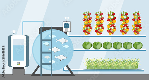 Growing plants in the greenhouse. Smart farm with wireless control. Eco farm with aquaponics system of planting vegetables. Vector illustration.