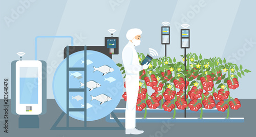 Growing plants in the greenhouse. Smart farm with wireless control. Eco farm with aquaponics system of planting vegetables. Vector illustration.