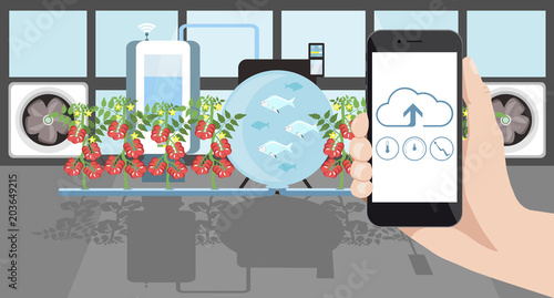 Growing plants in the greenhouse. Smart farm with wireless control. Eco farm with aquaponics system of planting vegetables. Vector illustration.