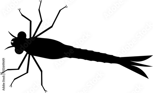 Black silhouette of dragonfly nymph on white background