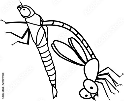 Coloring page. Adult Dragonfly in early molting stage