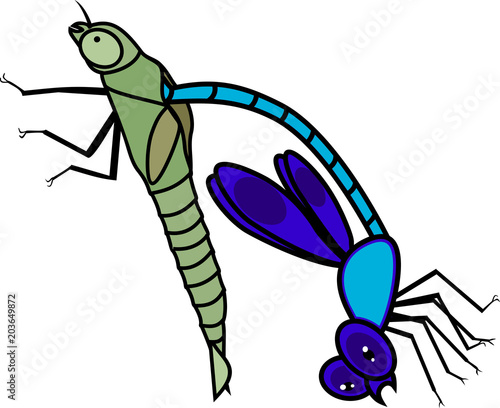 Adult Dragonfly in early molting stage