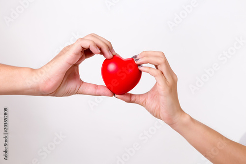Man's hand and woman's hand holding a red heart.  Isolated on white background. Studio lighting.