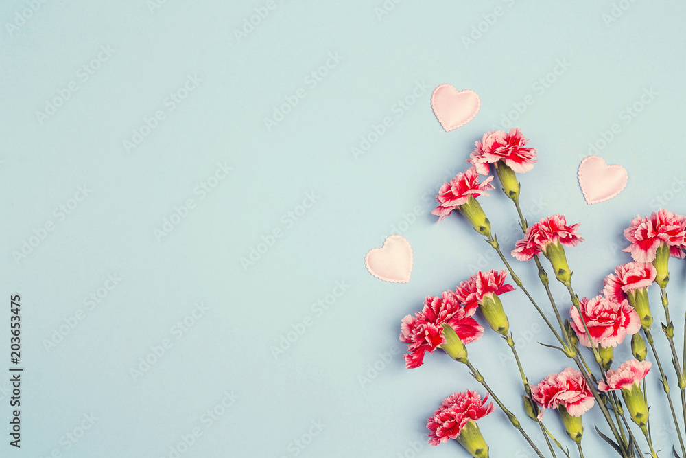 Blue background with carnations flowers and copy space. Top view. Mother's Day background. Blue background with carnations flowers and copy space. Top view. Mother's Day background.