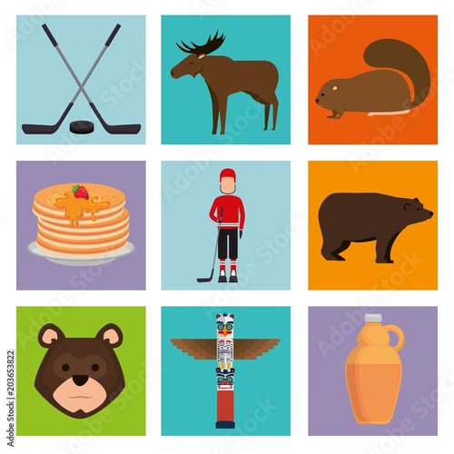 canadian culture set icons vector illustration design