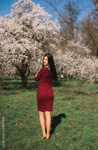 beautiful young brunette with long hair in a park on a spring in the middle of flowering trees in a red dress