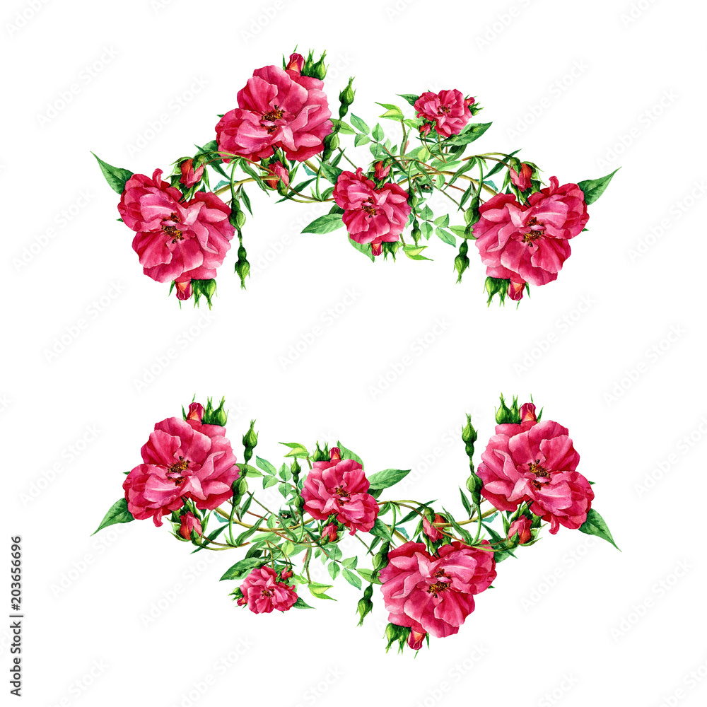 Frame of roses painted in watercolor. Frame of roses painted in watercolor.