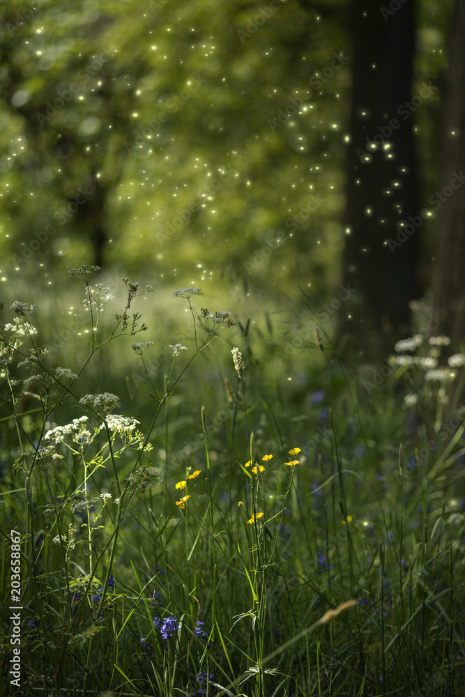 Obraz premium Stunning fantasy style landscape image of fireflies in night time forest scene
