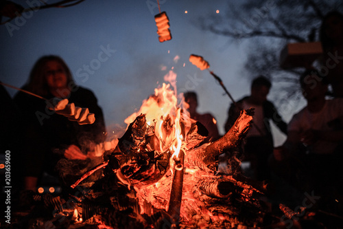 Murais de parede Young and cheerful friends sitting and fry marshmallows on the foreground of bon