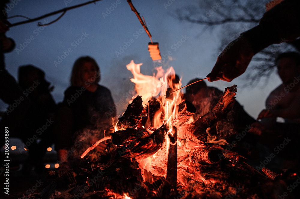 Young and cheerful friends roasting marshmallows near bonfire - obrazy, fototapety, plakaty 