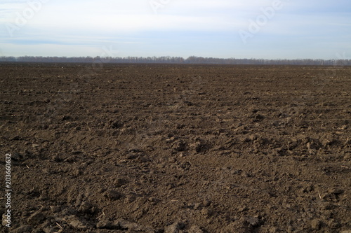 Picture of the treated soil.