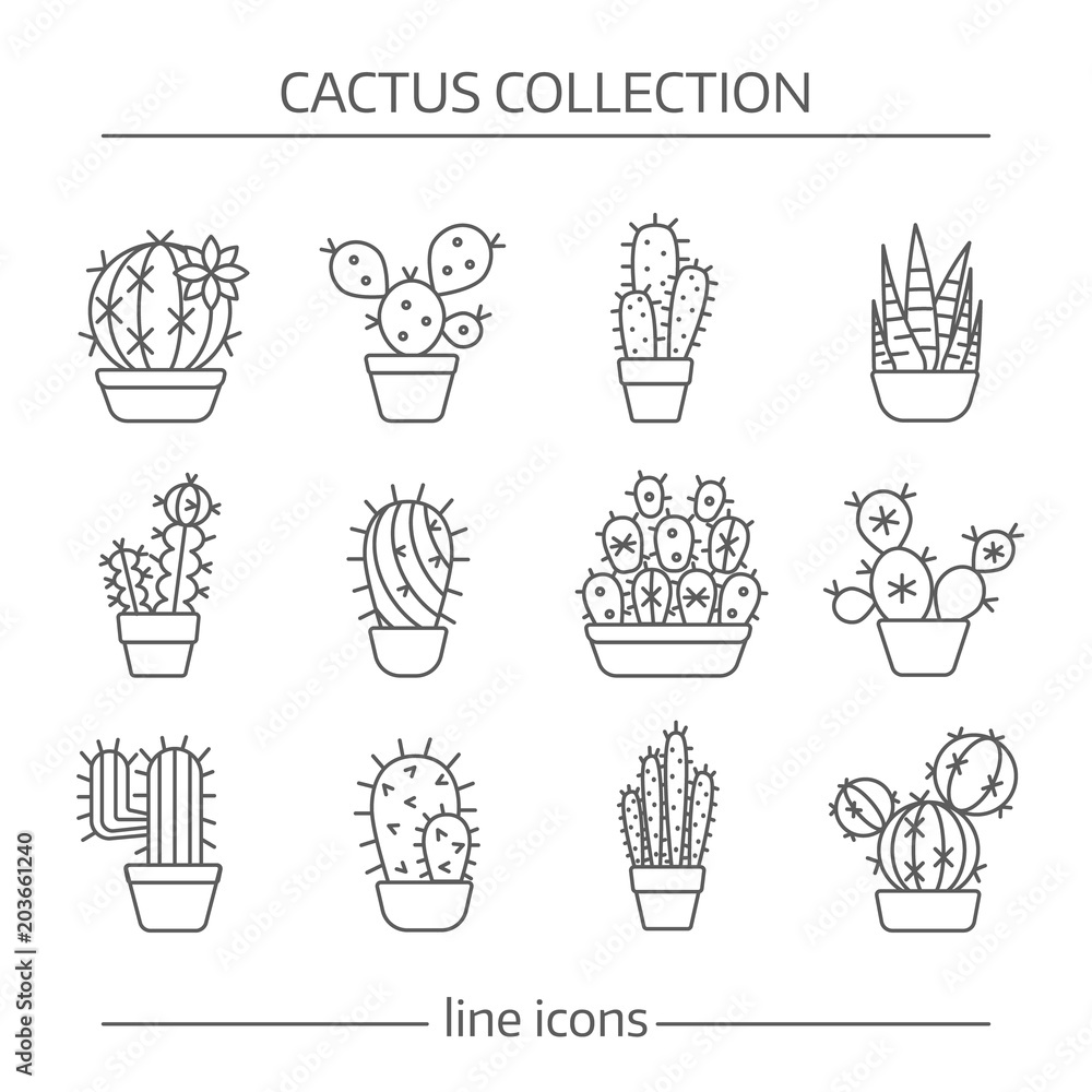 Line icons of cactus Line icons of cactus