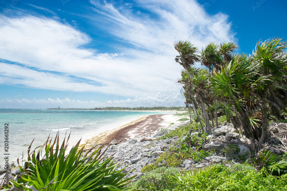 Xcacel beach in Riviera Maya, Mexico. It´s located near Tulum city Xcacel beach in Riviera Maya, Mexico. It´s located near Tulum city