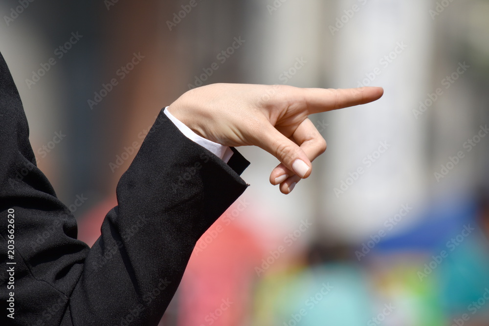 Pointing Adult Business Woman Pointing Adult Business Woman