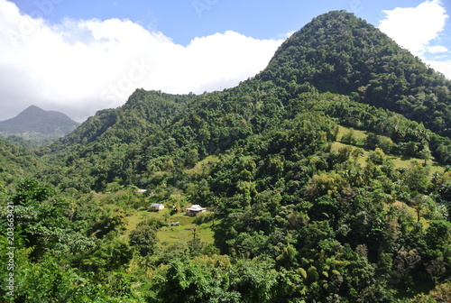 Martinique