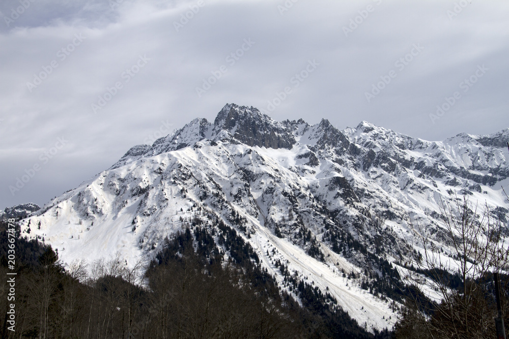 Passo del Tonale, Neve