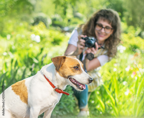 Young happy smiling woman photographer taking a photo of sitting small dog jack russel terrier outside in green summer park at sunny day. Hobby or Photographer job © Tetiana