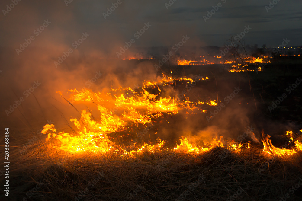 The big extensive fire in the field.