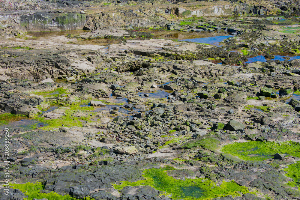 background concept. close up on rock formations on coast of ocean in northern ireland background concept. close up on rock formations on coast of ocean in northern ireland
