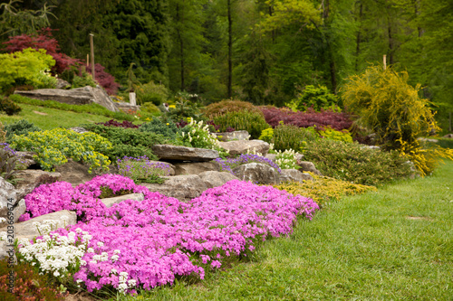 Flowering rock garden in spring. Different bushes and flowers blooming over rock formations in park