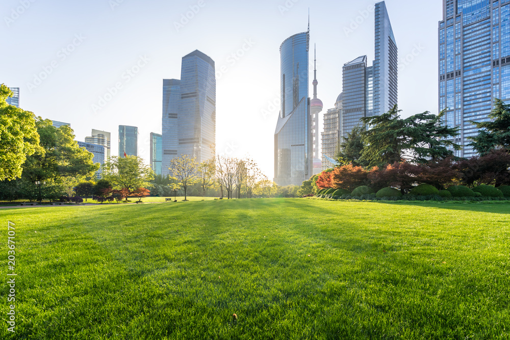 green lawn with modern office building