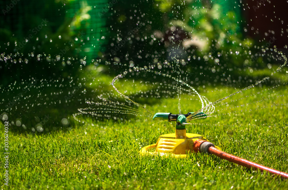 Garden watering of a spring green lawn. Sunny garden - obrazy, fototapety, plakaty 