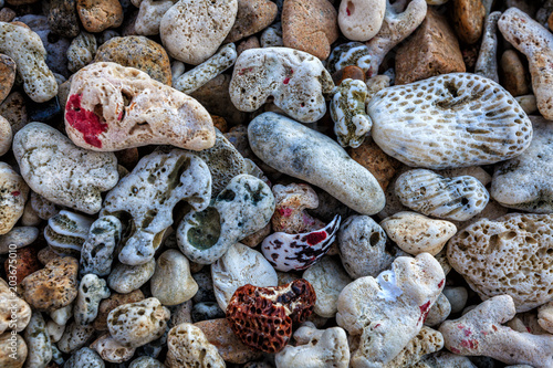 Fototapeta Naklejka Na Ścianę i Meble -  Pebbles and coral background