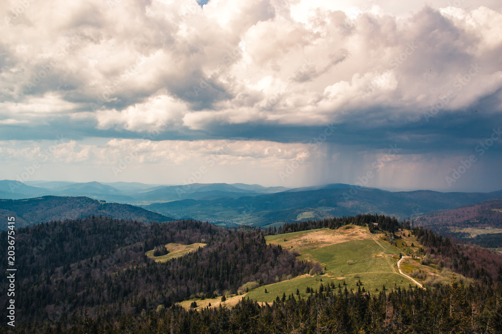 Beautiful panorama of the mountains with a meadow and a pine forest on the background of dramatic sky, far away the rain Beautiful panorama of the mountains with a meadow and a pine forest on the background of dramatic sky, far away the rain