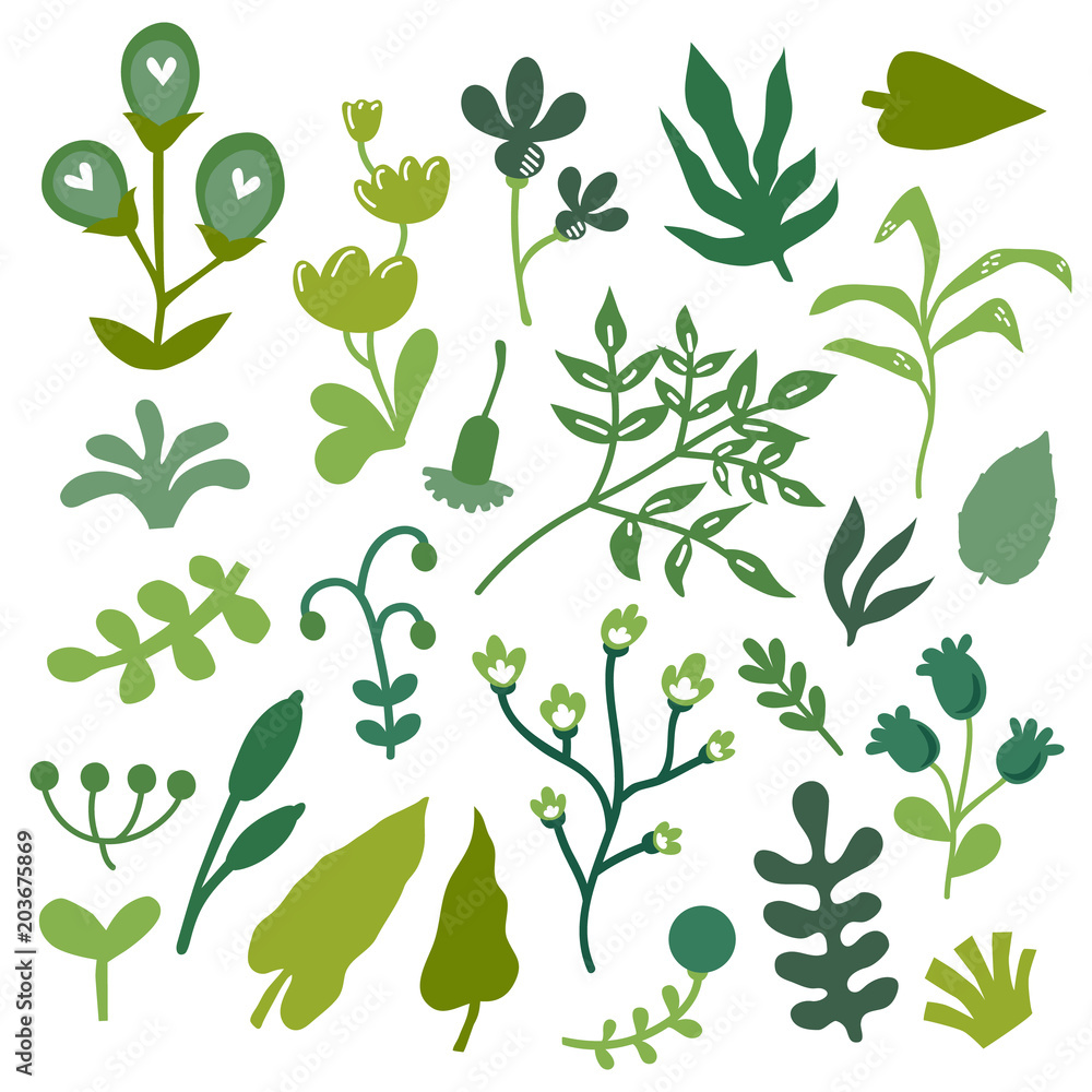 Vector illustration set of hand drawn plants and leaves 