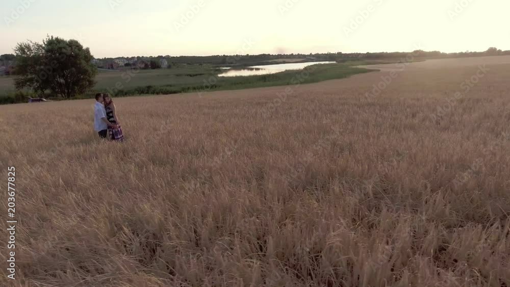 Beautiful couple in love standing in a wheat field in summertime, hug and kiss Beautiful couple in love standing in a wheat field in summertime, hug and kiss
