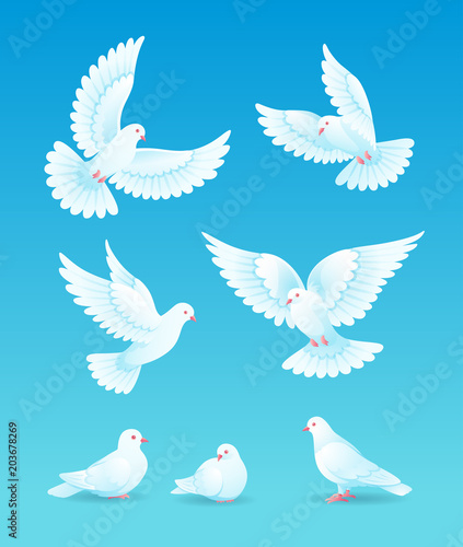 Set of white pigeons on blue background - vector illustration © rosinka