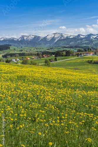 Frühling in den Allgäuer Alpen,Bayerische Alpen,Deutschland,Oberstaufen