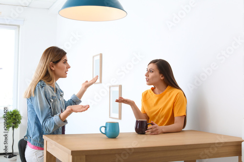 Women arguing at table in room photo